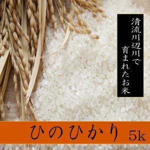令和5年産新米ヒノヒカリ 5kg - お米　熊本県産 　精白米　｜ikutakometen