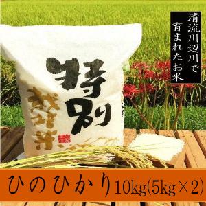 令和5年産新米ヒノヒカリ 10kg -お米　熊本県産 特別栽培米 　精白米｜ikutakometen