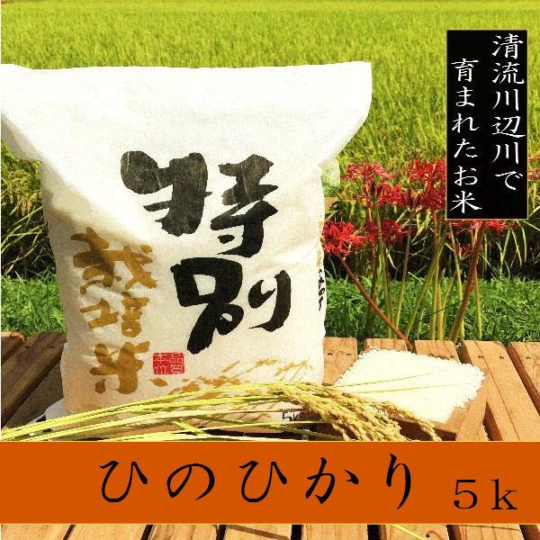令和5年産新米ヒノヒカリ 5kg - お米　熊本県産 特別栽培米  　精白米