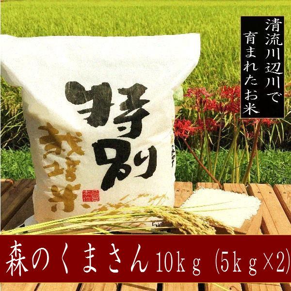 令和5年産新米　森のくまさん 10kg - お米　熊本県産 特別栽培米 　精白米