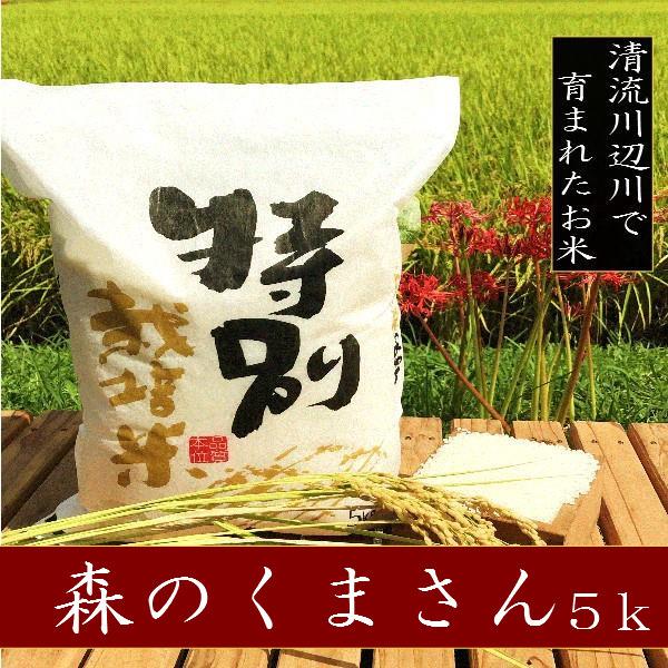 令和5年産新米　森のくまさん 5kg - お米　熊本県産 特別栽培米 　精白米