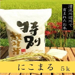 新米にこまる 5kg - 令和5年産　お米　熊本県産 特別栽培米　精白米｜ikutakometen