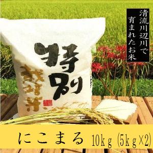 新米にこまる　10kg -令和5年産 お米　熊本県産 特別栽培米　精白米　｜ikutakometen