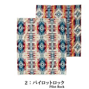ペンドルトン ブランケット PENDLETON...の詳細画像2