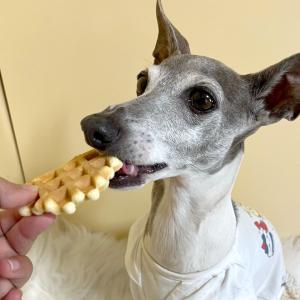 犬のおやつ 犬 おやつ 国産 五穀ワッフル/ ...の詳細画像1