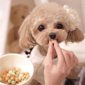 犬 おやつ 無添加 国産 野菜ボーロ MIX/...の詳細画像3
