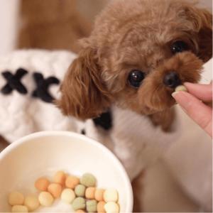 犬 おやつ 無添加 国産 野菜ボーロ MIX/...の詳細画像4