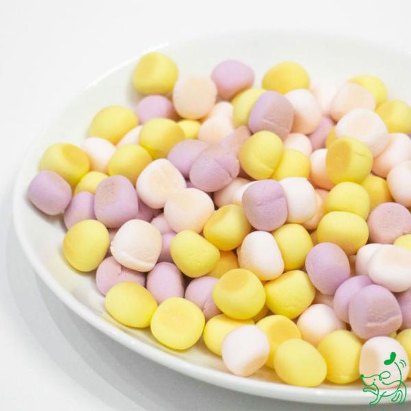 犬 おやつ 無添加 国産 フルーツボーロ MIX/子犬 パピー シニア  プレゼント イリオスマイル...