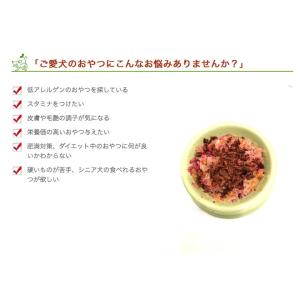 犬 おやつ 無添加 国産 丹波産 猪スティック...の詳細画像3