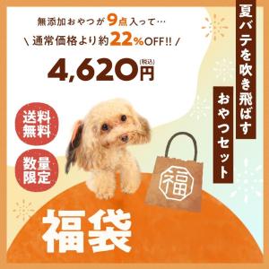 犬 おやつ 夏の福袋2022年  無添加 10品セット サンキューバッグ