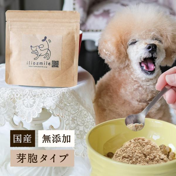 犬 無添加 国産 粉末なっとう 50g/納豆 腸活 トッピング 手作り ごはん 芽胞タイプ パウダー...