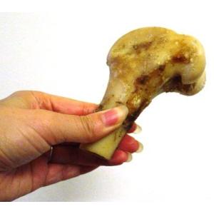 まとめ買い/ 犬 おやつ 無添加 国産 北海道産蝦夷鹿の骨 げんこつあり なし混同×10個セット/ ...