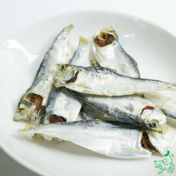犬 おやつ 無添加 国産 鳥取県産 ママカリ煮干し 100g/低脂肪 魚 フィッシュ カルシウム 猫...