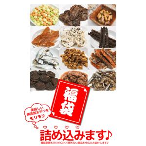 犬 おやつ 無添加 福袋 犬のおやつ / 送料...の詳細画像4