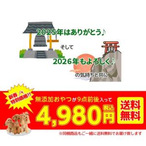 犬 おやつ 無添加 福袋 犬のおやつ / 送料...の詳細画像5