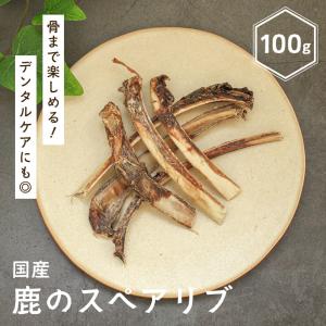 犬 おやつ 無添加 国産 鹿のスペアリブ/ガム デンタルケア アレルギー ベニソン 低脂肪　ポイント利用 お試し商品 サンプル｜犬用自然派おやつ専門店iliosmile