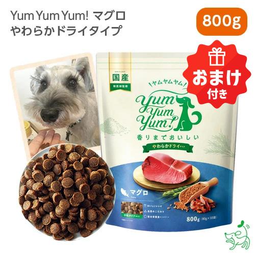 限定おまけ付き/Yum Yum Yum ヤムヤムヤム マグロ やわらかドライタイプ 800g/80g...