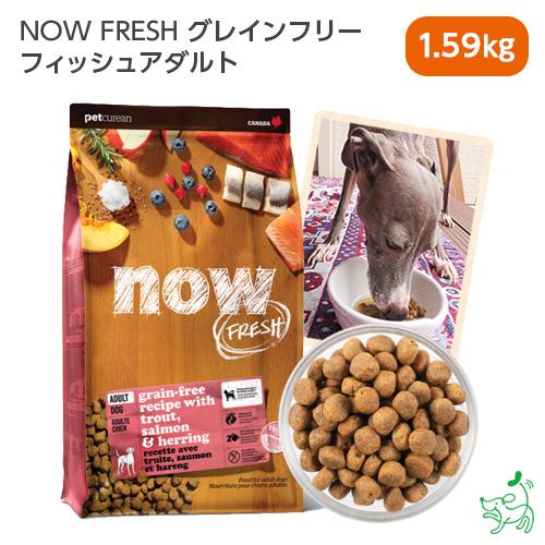 ナウフレッシュ NOW FRESH グレインフリー フィッシュアダルト 1.59kg/犬 ごはん フ...