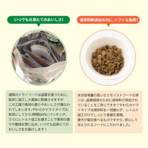 限定おまけ付き/Yum Yum Yum ヤムヤ...の詳細画像5