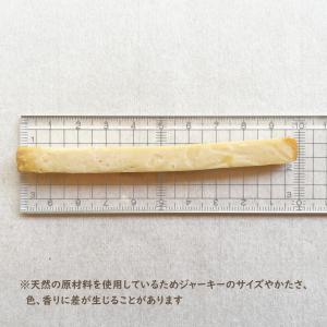 犬 おやつ 無添加 国産 きなり しっとりやわ...の詳細画像3