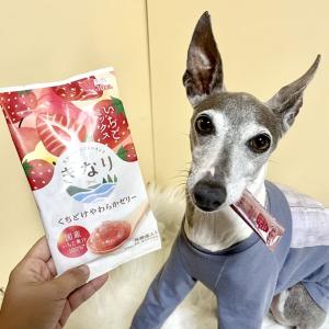 犬 おやつ 無添加 国産/きなり くちどけやわ...の詳細画像5