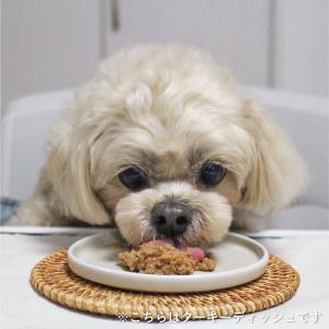 犬 ごはん 無添加 Bioliob ビオリオー...の詳細画像3
