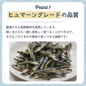犬 おやつ 無添加 国産 高知県産 減塩きびな...の詳細画像2