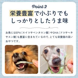 犬 おやつ 無添加 国産 高知県産 減塩きびな...の詳細画像3