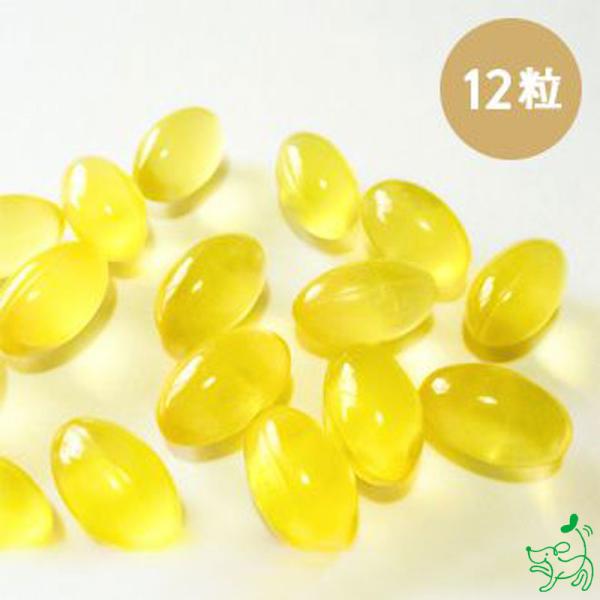 犬 無添加 国産 オメガ3フィッシュカプセルオイル 12粒/ごはん フード トッピング サプリ 手作...