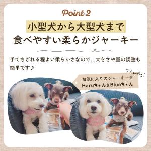 犬 おやつ 無添加 国産 お肉と野菜とヤギミル...の詳細画像3