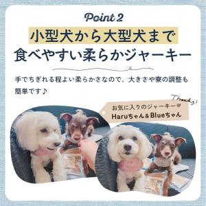 犬 おやつ 無添加 国産 犬のおやつ 柔らか ...の詳細画像5