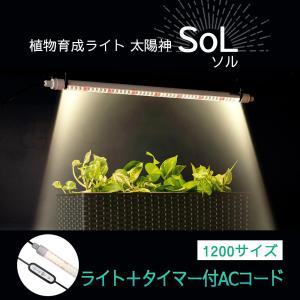 イルミカ 植物育成ライト 太陽神SoLソル ライト単品 900サイズ : LED
