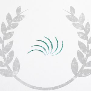 ILLULA-イルーラ-【ターコイズ×ターコイズ...の商品画像