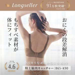 ブラジャー ショーツセット 大きいサイズ 脇肉...の詳細画像1