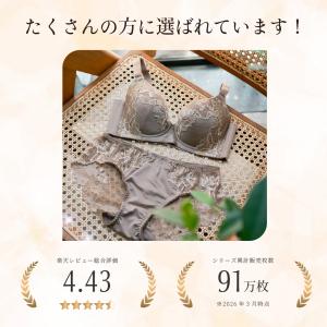 ブラジャー ショーツセット 大きいサイズ 脇肉...の詳細画像4