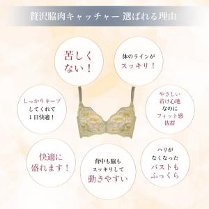 heaven japan ヘブンジャパン ブラ...の詳細画像4