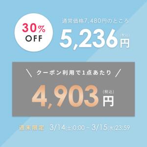ブラジャー ビスチェリーナ 大きいサイズ ヘブ...の詳細画像1