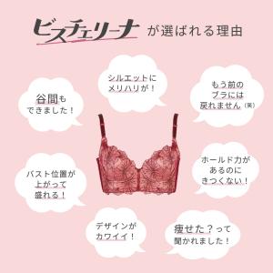 ブラジャー ショーツ セット 大きいサイズ 谷...の詳細画像5