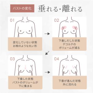 ナイトブラ 綿 素材 育乳 コットン ブラジャ...の詳細画像4