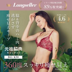 ブラ ジャー 元祖脇肉キャッチャー アウトレッ...の詳細画像4