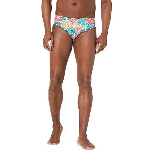 Speedo スピード メンズ 男性用 スポーツ・アウトドア用品 水着 Printed 1&quot; Bri...