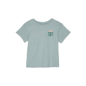 Tiny Whales 女の子用 ファッション 子供服 Tシャツ Always Growing Boxy Tee (Toddler/Little Kids/Big Kids) - Cactus｜ilovela