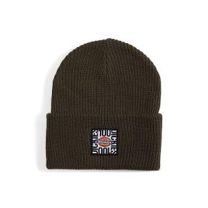 Dickies ディッキー メンズ 男性用 ファッション雑貨 小物 帽子 ビーニー ニット帽 100th Anniversary Beanie Hat - Moss Green｜ilovela