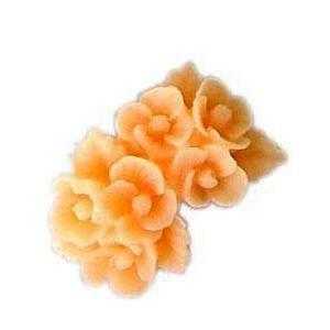 せっけん用モールド（型） シリコンモールド : フラワー 5 - シングル