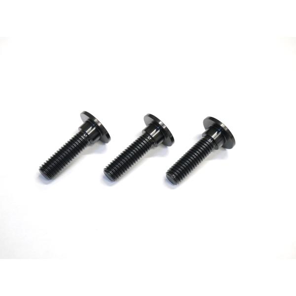 NINJA250/NINJA250SL/Z250専用 64チタン合金製 リアブレーキディスクボルトセ...