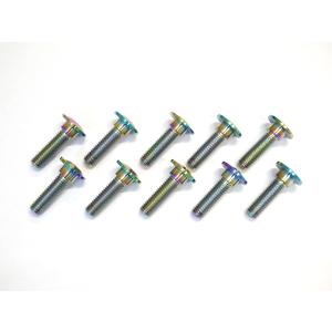 Z900/Z900RS/カフェ/SE専用 フロント用64チタン合金製ブレーキディスクボルトセット