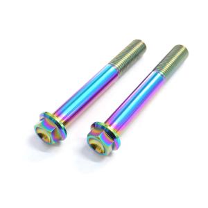 S-PARTS エスパーツ スクリーン用チタンボルトセット カラー：ゴールド