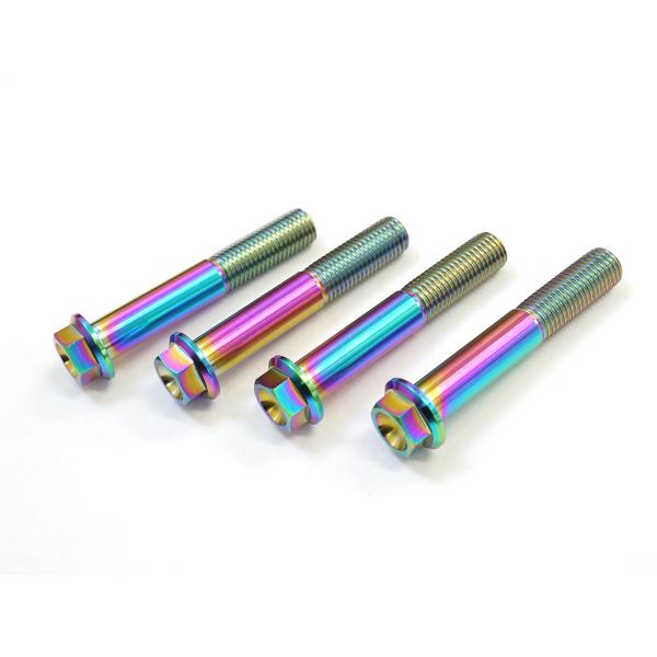 ZX-10R　16-用64チタン製フロントキャリパーマウントボルト4本セット 焼き色 レインボー T...