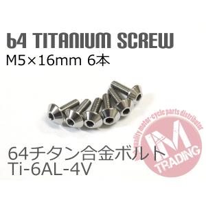 64チタン合金スクリーンボルト M5×16mm P0.8 6本セット ゆうパケット対応 ナチュラルTi-6Al-4V GR5 カウルボルト｜im-trading