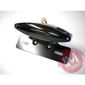 スネークアイLEDテールランプ ブラックボディ　ステー付き